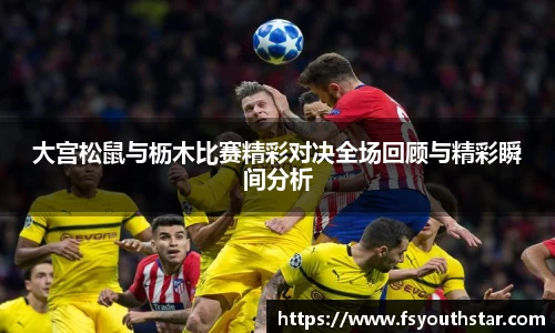 南宫娱乐ng28